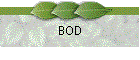 BOD